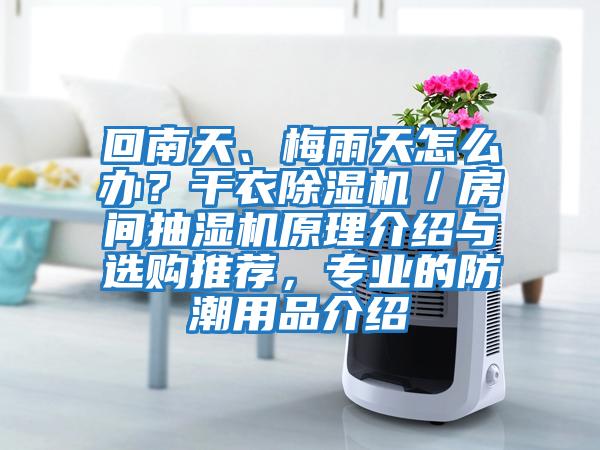 回南天、梅雨天怎么辦？干衣除濕機／房間抽濕機原理介紹與選購推薦，專業(yè)的防潮用品介紹