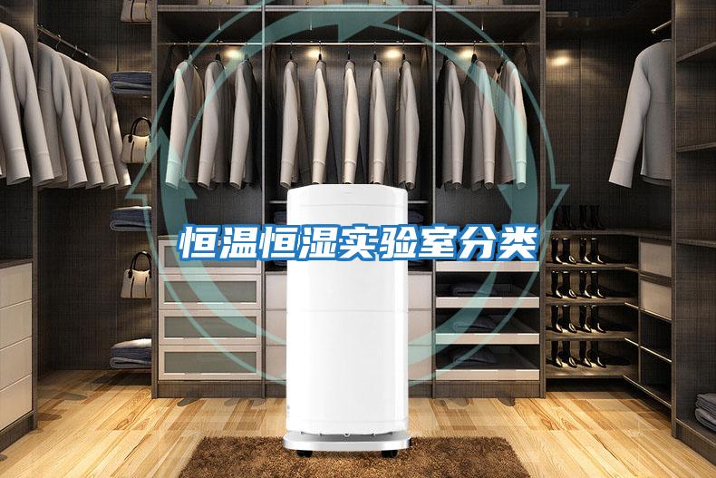 恒溫恒濕實(shí)驗(yàn)室分類(lèi)