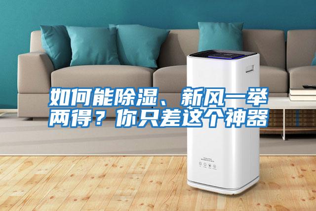 如何能除濕、新風一舉兩得？你只差這個神器