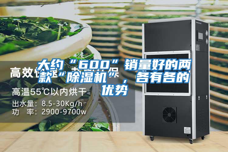 大約“600”銷量好的兩款“除濕機(jī)”,各有各的優(yōu)勢(shì)