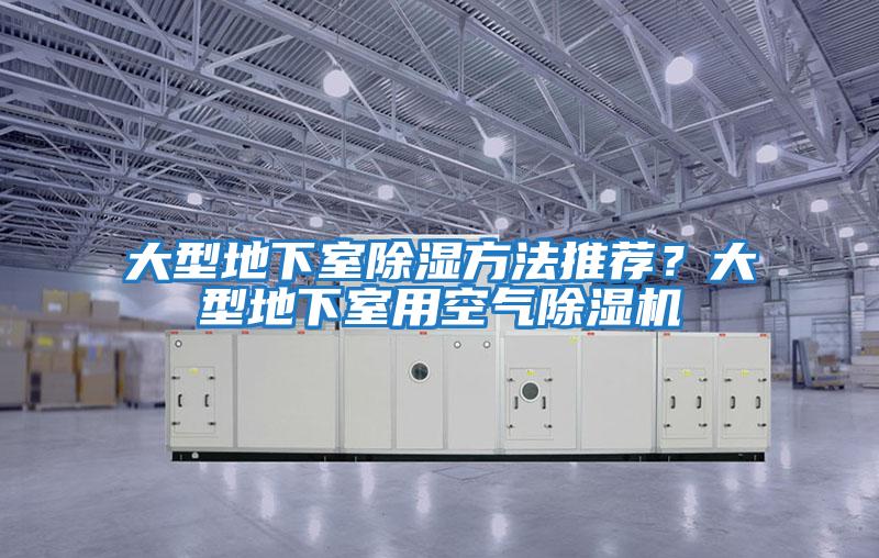 大型地下室除濕方法推薦？大型地下室用空氣除濕機(jī)