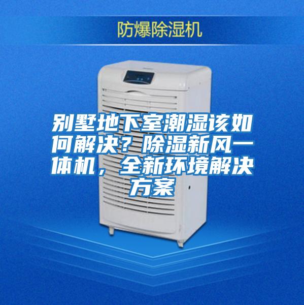 別墅地下室潮濕該如何解決？除濕新風(fēng)一體機(jī)，全新環(huán)境解決方案