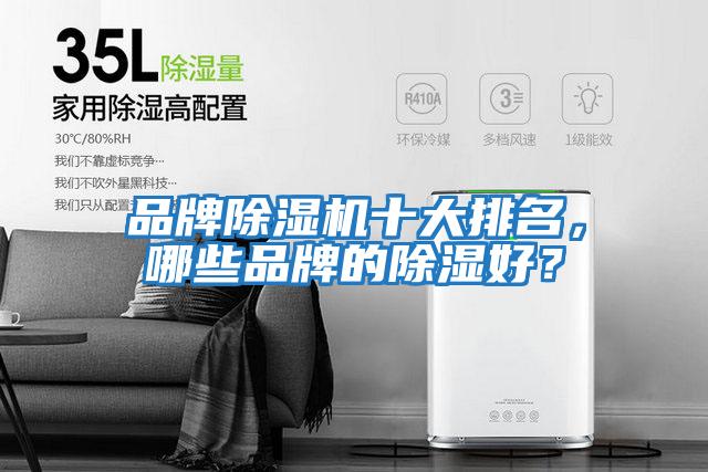 品牌除濕機(jī)十大排名，哪些品牌的除濕好？