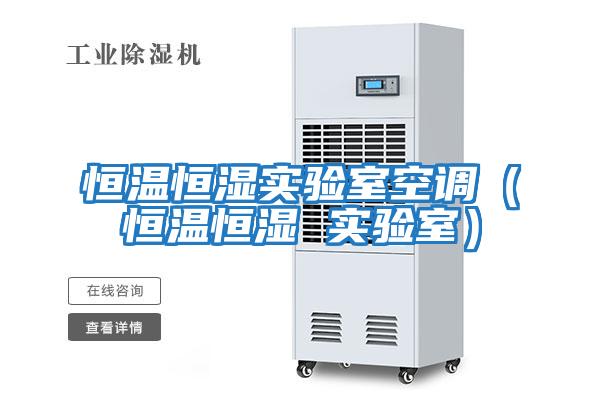 恒溫恒濕實驗室空調(diào)(恒溫恒濕 實驗室)