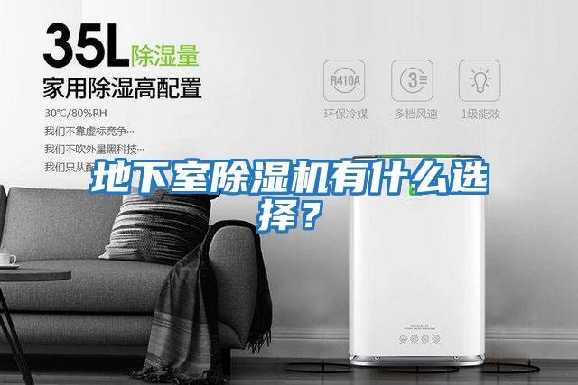 地下室除濕機(jī)有什么選擇？