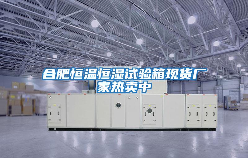 合肥恒溫恒濕試驗箱現貨廠家熱賣中