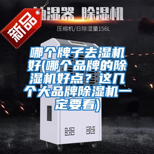 哪個牌子去濕機好(哪個品牌的除濕機好點？這幾個大品牌除濕機一定要看)