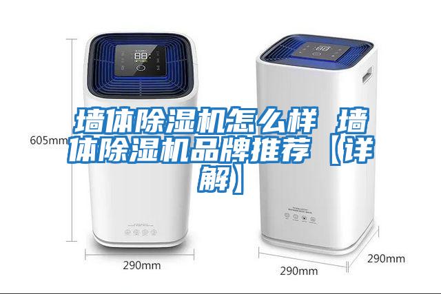 墻體除濕機怎么樣 墻體除濕機品牌推薦【詳解】