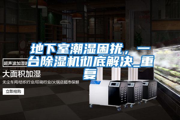 地下室潮濕困擾，一臺除濕機徹底解決_重復