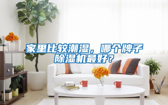 家里比較潮濕，哪個牌子除濕機最好？