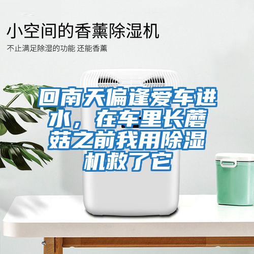 回南天偏逢愛車進(jìn)水，在車?yán)镩L蘑菇之前我用除濕機(jī)救了它