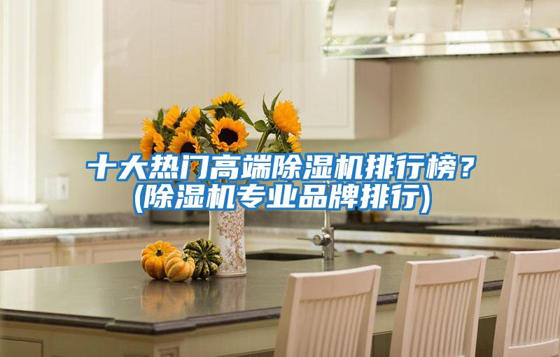 十大熱門高端除濕機排行榜?(除濕機專業品牌排行)