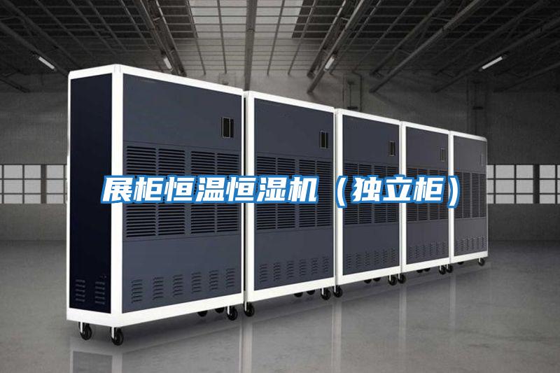 展柜恒溫恒濕機(jī)(獨(dú)立柜)