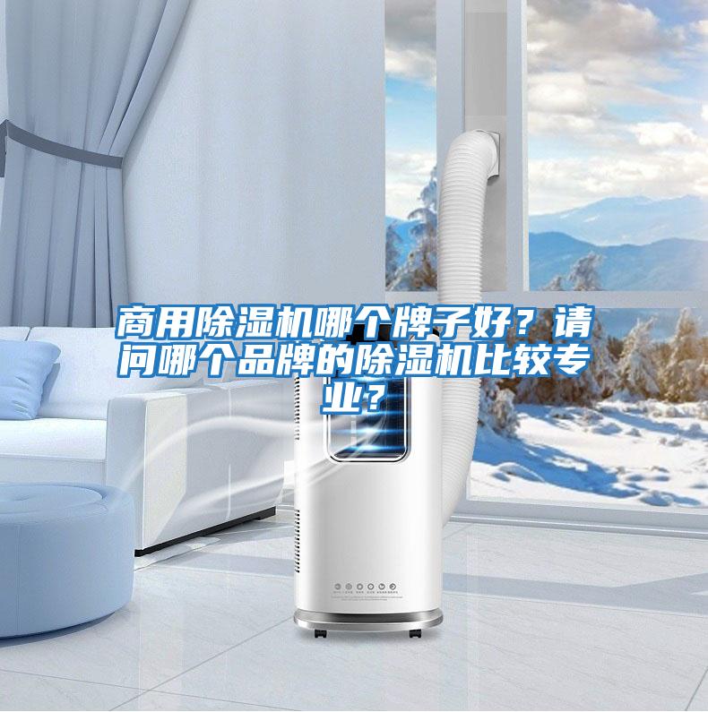 商用除濕機哪個牌子好?請問哪個品牌的除濕機比較專業?