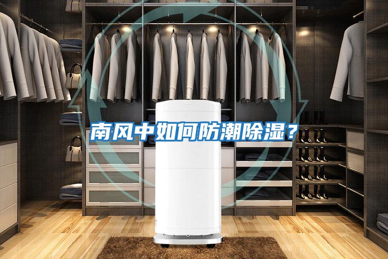 南風中如何防潮除濕?
