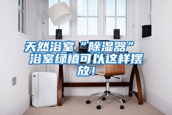 天然浴室“除濕器” 浴室綠植可以這樣擺放!