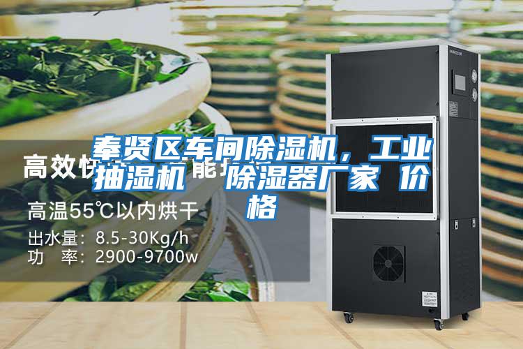 奉賢區(qū)車間除濕機,工業(yè)抽濕機 除濕器廠家 價格