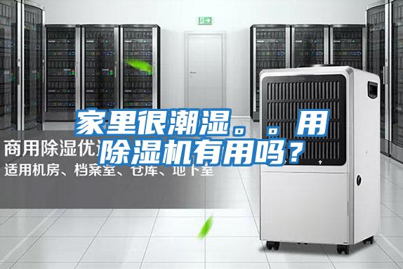 家里很潮濕。。用除濕機有用嗎？
