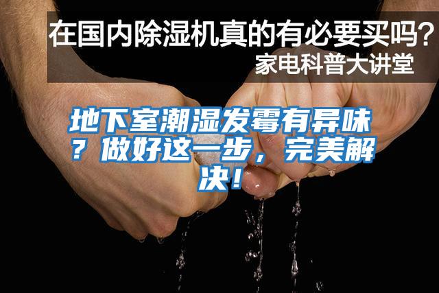 地下室潮濕發霉有異味？做好這一步，完美解決！