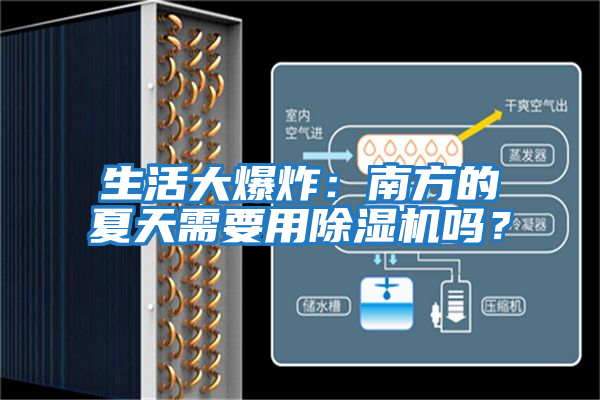 生活大爆炸：南方的夏天需要用除濕機嗎？