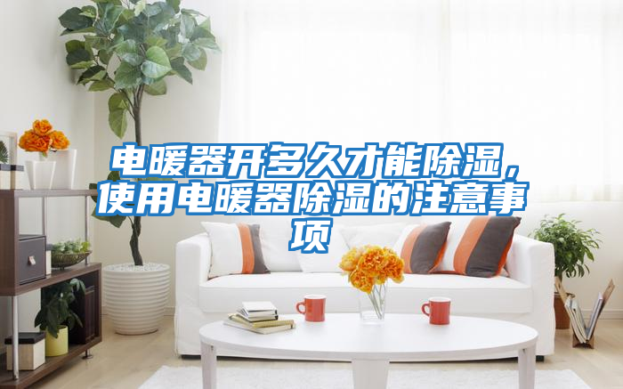 電暖器開多久才能除濕,使用電暖器除濕的注意事項