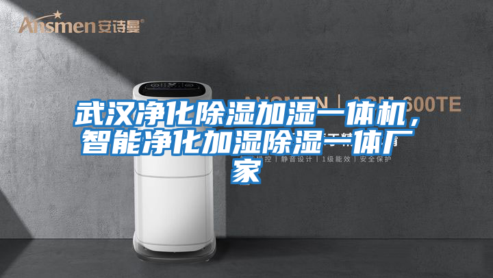 武漢凈化除濕加濕一體機,智能凈化加濕除濕一體廠家