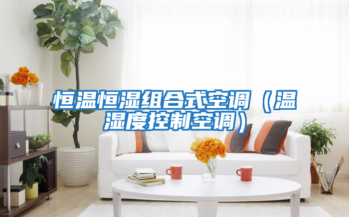 恒溫恒濕組合式空調(diào)(溫濕度控制空調(diào))