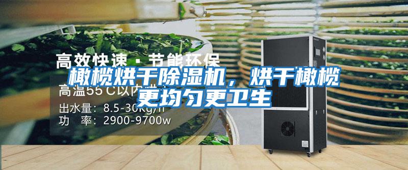 橄欖烘干除濕機，烘干橄欖更均勻更衛生