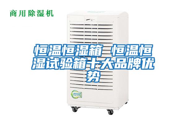 恒溫恒濕箱 恒溫恒濕試驗箱十大品牌優勢