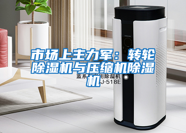 市場(chǎng)上主力軍:轉(zhuǎn)輪除濕機(jī)與壓縮機(jī)除濕機(jī)