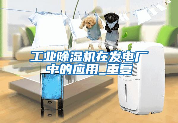 工業(yè)除濕機在發(fā)電廠中的應用_重復