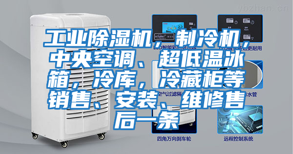 工業(yè)除濕機(jī)，制冷機(jī)，中央空調(diào)、超低溫冰箱，冷庫(kù)，冷藏柜等銷(xiāo)售、安裝、維修售后一條