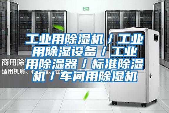 工業(yè)用除濕機/工業(yè)用除濕設(shè)備/工業(yè)用除濕器/標準除濕機/車間用除濕機