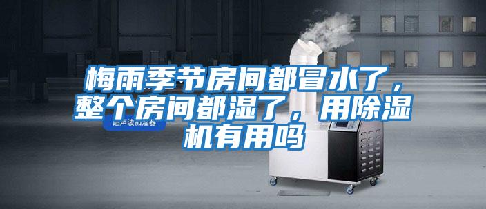 梅雨季節房間都冒水了,整個房間都濕了,用除濕機有用嗎