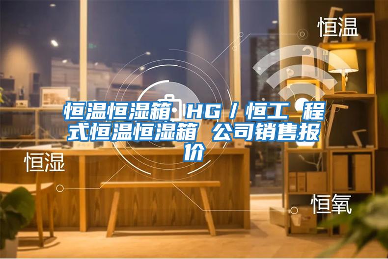 恒溫恒濕箱 HG/恒工 程式恒溫恒濕箱 公司銷售報價
