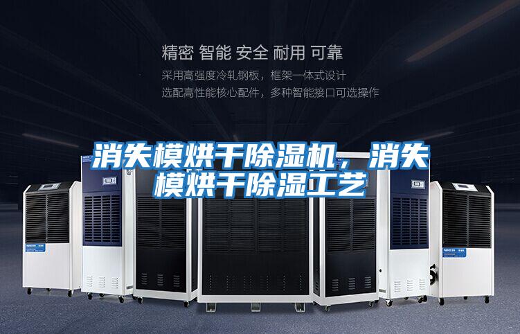 消失模烘干除濕機,消失模烘干除濕工藝
