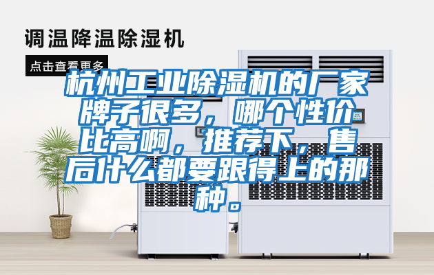 杭州工業除濕機的廠家牌子很多，哪個性價比高啊，推薦下，售后什么都要跟得上的那種。