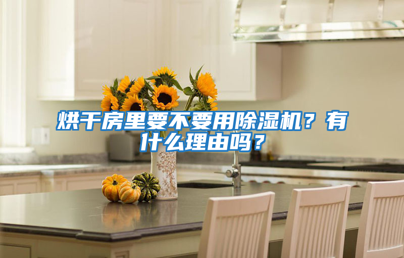烘干房里要不要用除濕機(jī)?有什么理由嗎?