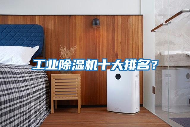 工業(yè)除濕機(jī)十大排名?