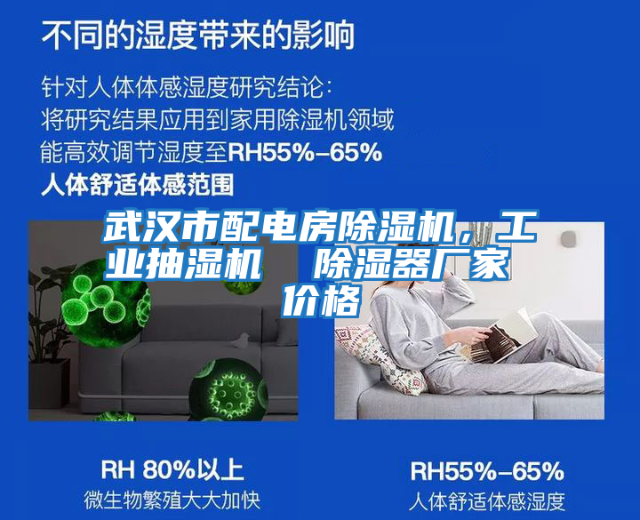 武漢市配電房除濕機,工業(yè)抽濕機 除濕器廠家 價格