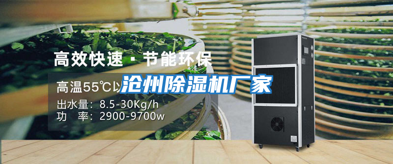 滄州除濕機(jī)廠家
