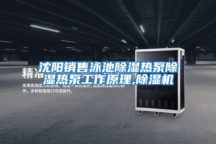 沈陽(yáng)銷售泳池除濕熱泵除濕熱泵工作原理,除濕機(jī)