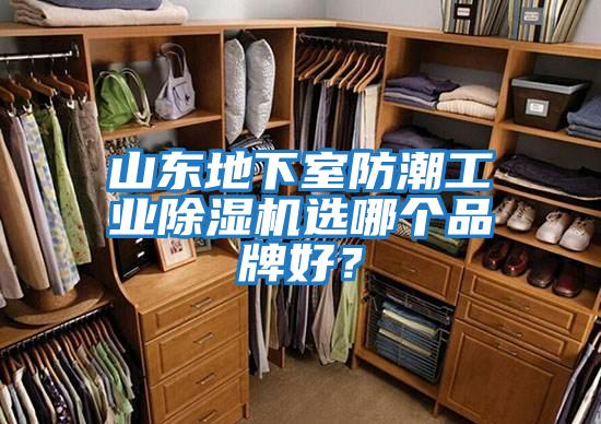 山東地下室防潮工業除濕機選哪個品牌好？