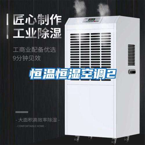 恒溫恒濕空調2