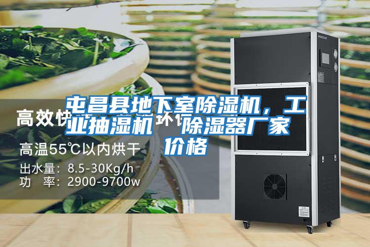 屯昌縣地下室除濕機，工業抽濕機  除濕器廠家 價格