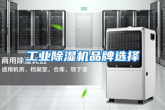 工業除濕機品牌選擇