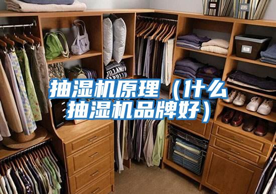 抽濕機(jī)原理(什么抽濕機(jī)品牌好)