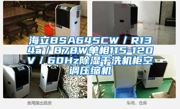 海立BSA645CW/R134a/878W單相115-120V/60Hz除濕干洗機柜空調(diào)壓縮機