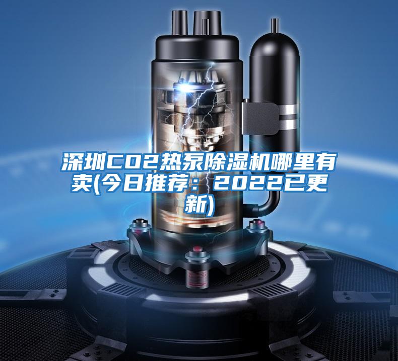 深圳CO2熱泵除濕機哪里有賣(今日推薦:2022已更新)