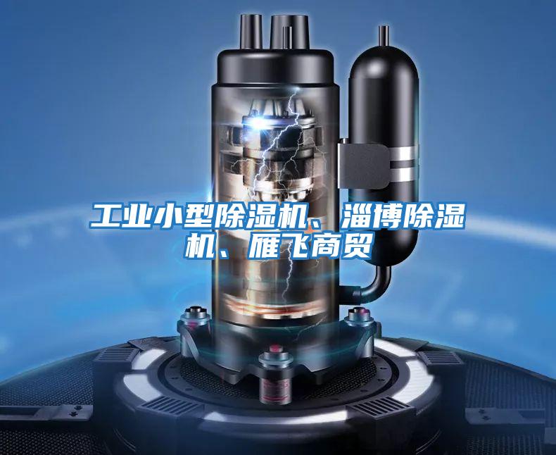 工業(yè)小型除濕機、淄博除濕機、雁飛商貿(mào)
